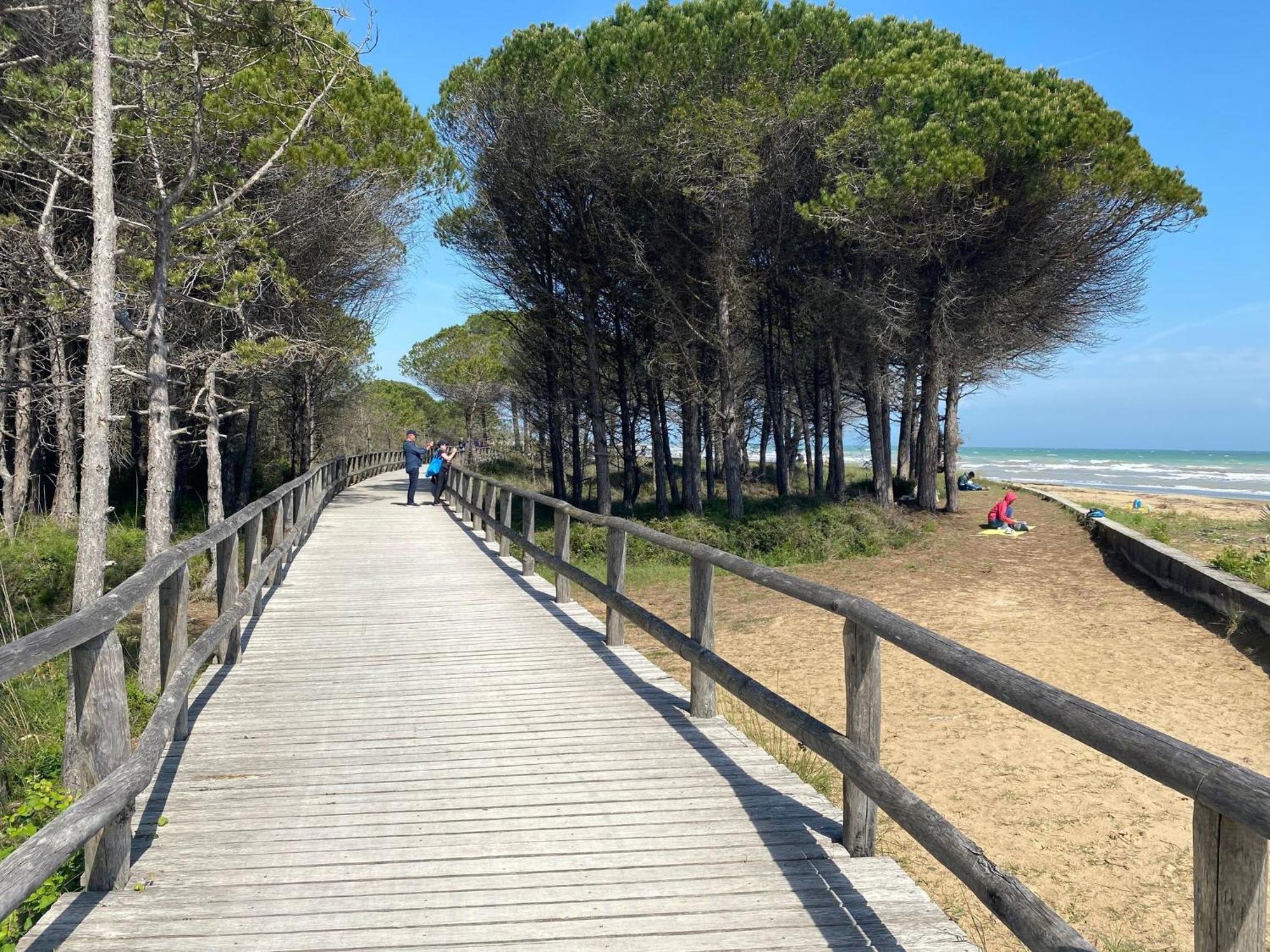 Beachfront Colourful Flat With Swimming Pool Apartament Bibione